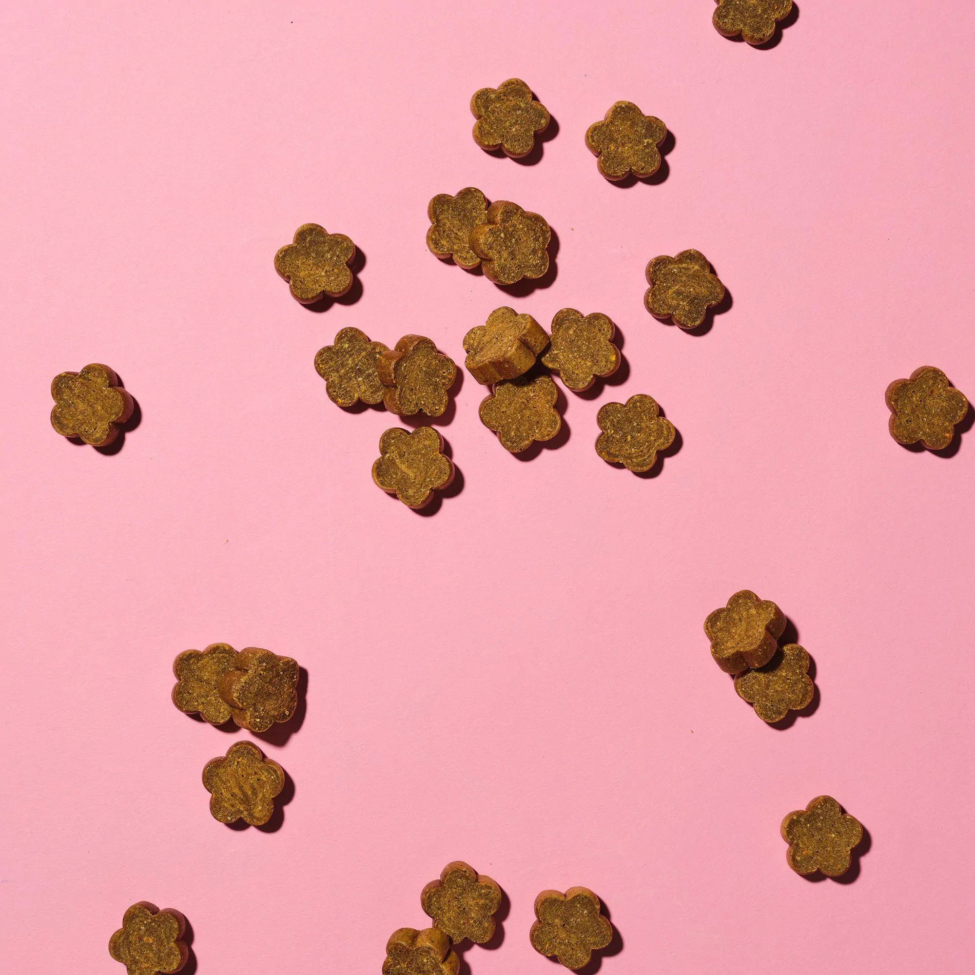 Pooch & Mutt Calming Probiotic Meaty Treats - Image 3