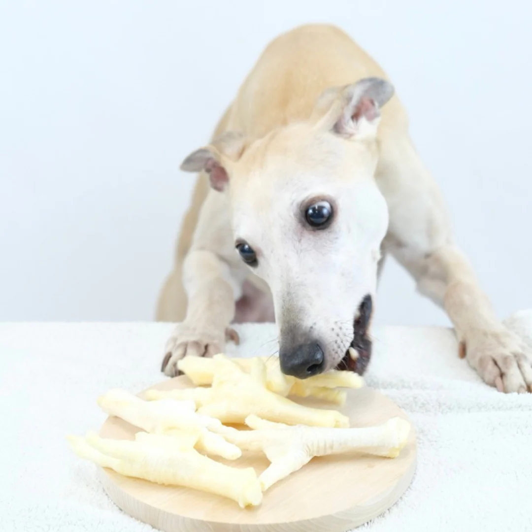 Puffed Chicken Feet - Pack of 5 - Image 3