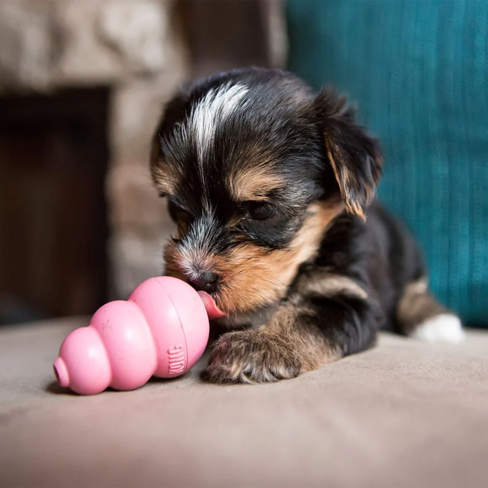 Puppy Kong Toy - Image 5