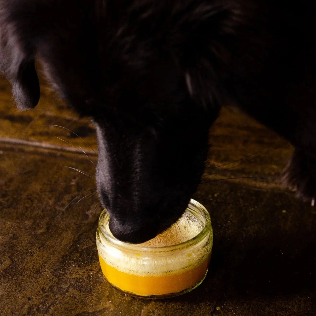 Fettle Pure Pumpkin Powder for Dogs - Image 3