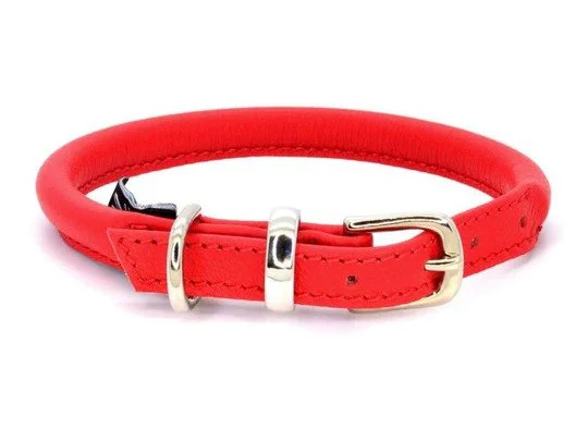 D&H Red Rolled Leather Dog Collar - Image 4