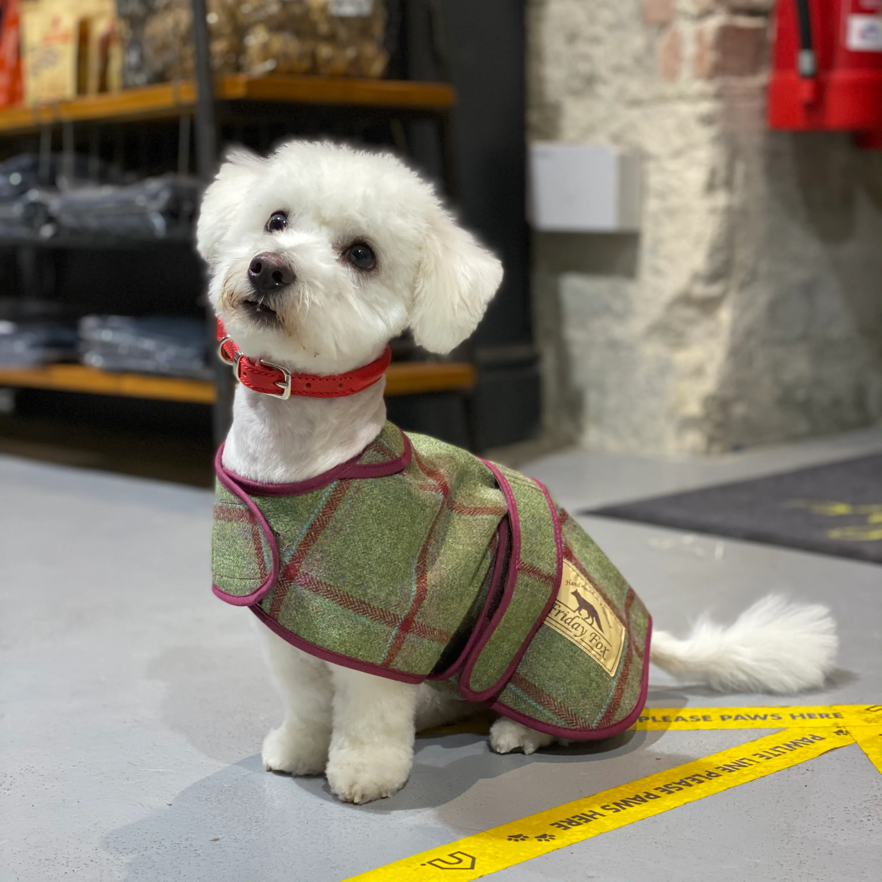 D&H Red Rolled Leather Dog Collar - Image 5