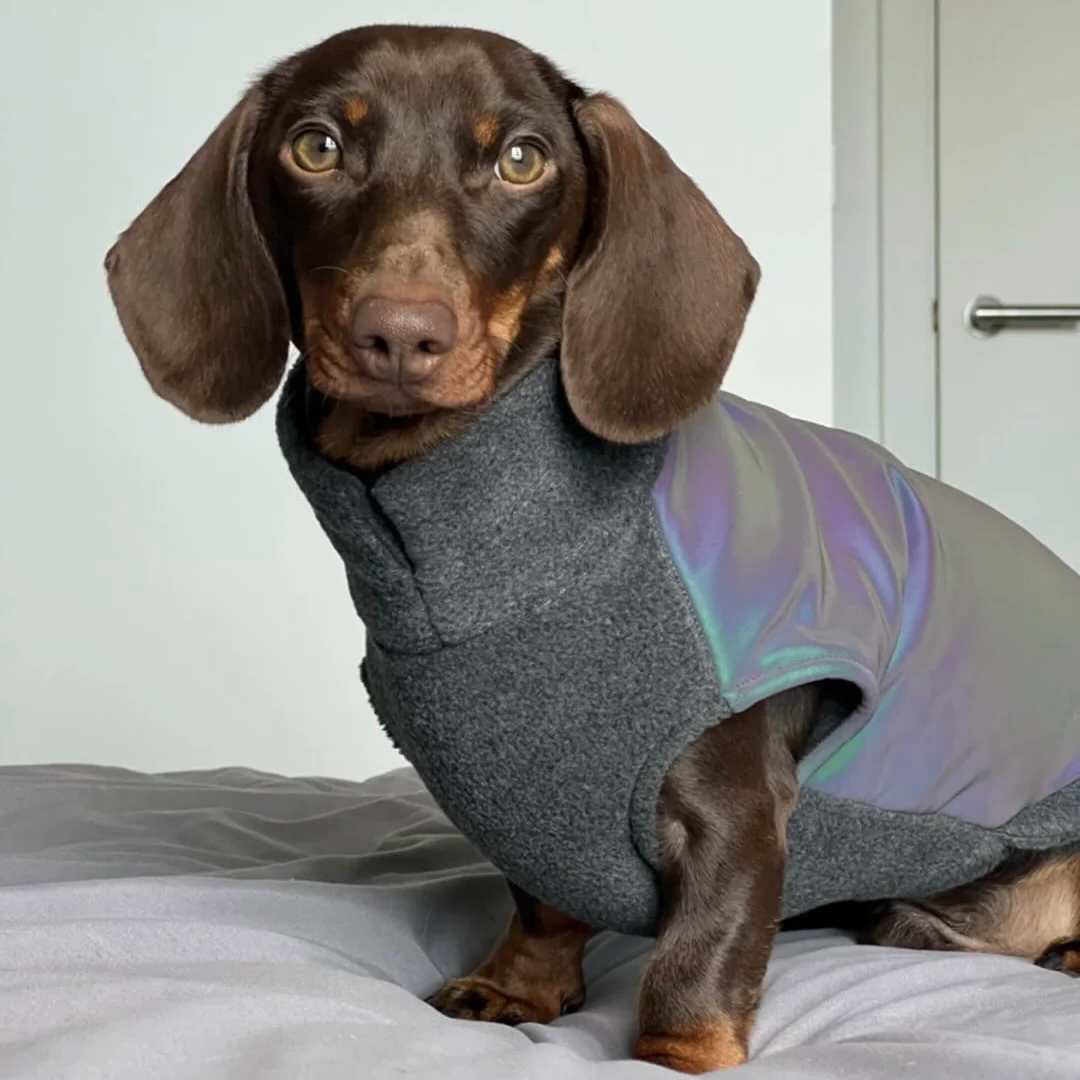 Dachshund Fleece Jumper with Reflective Back - Image 11