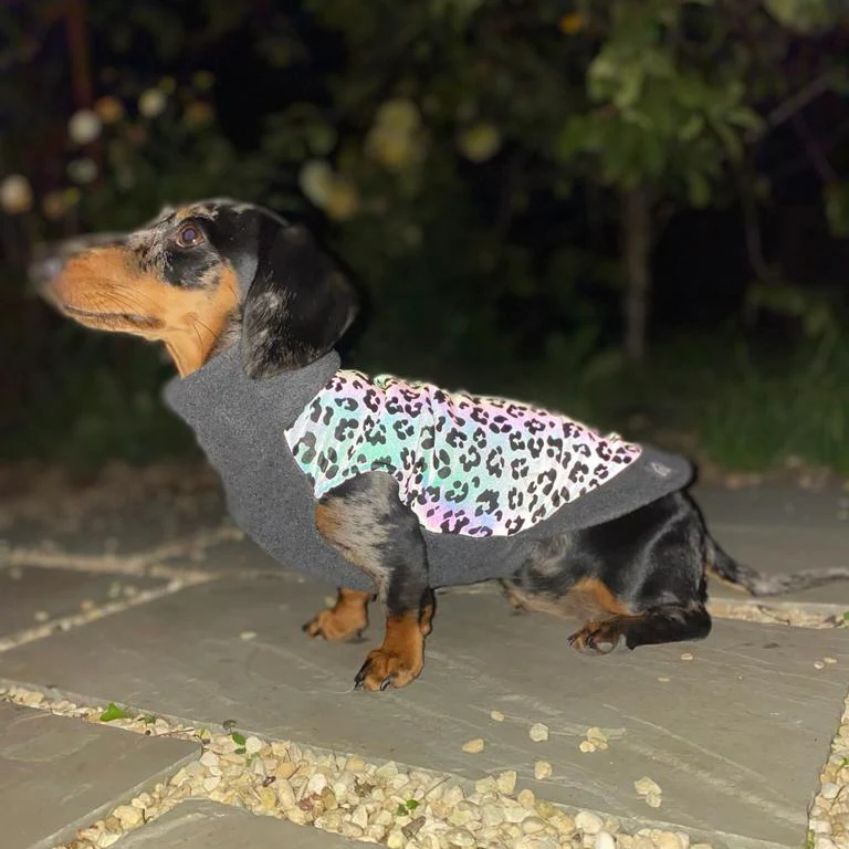 Dachshund Fleece Jumper with Reflective Back - Image 4
