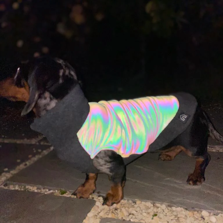 Dachshund Fleece Jumper with Reflective Back - Image 5