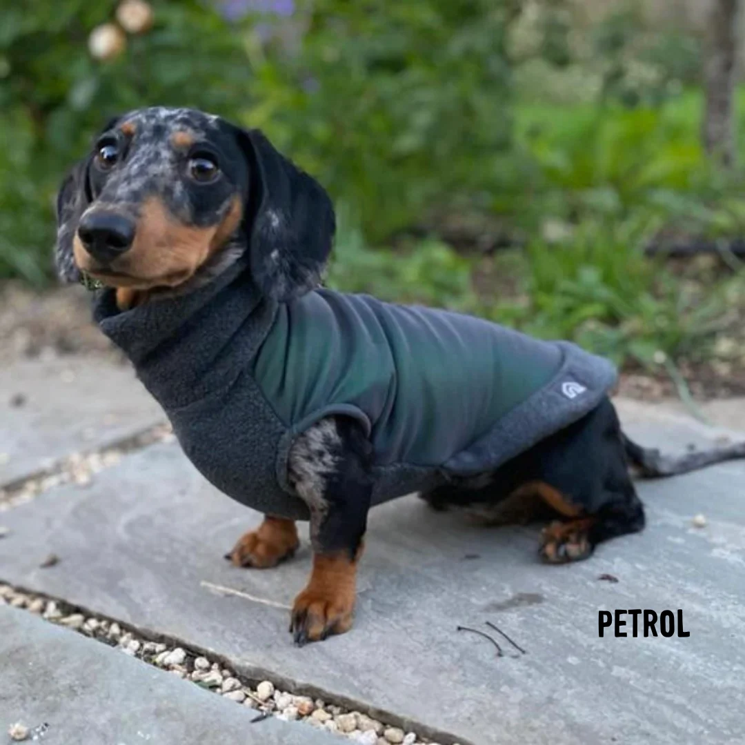 Dachshund Fleece Jumper with Reflective Back - Image 9