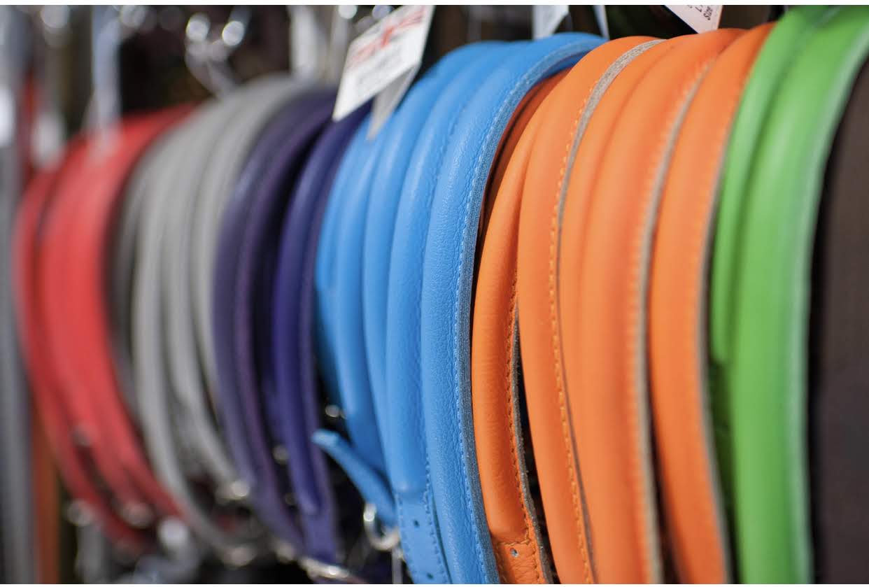 D&H Orange Rolled Leather Dog Collar - Image 3