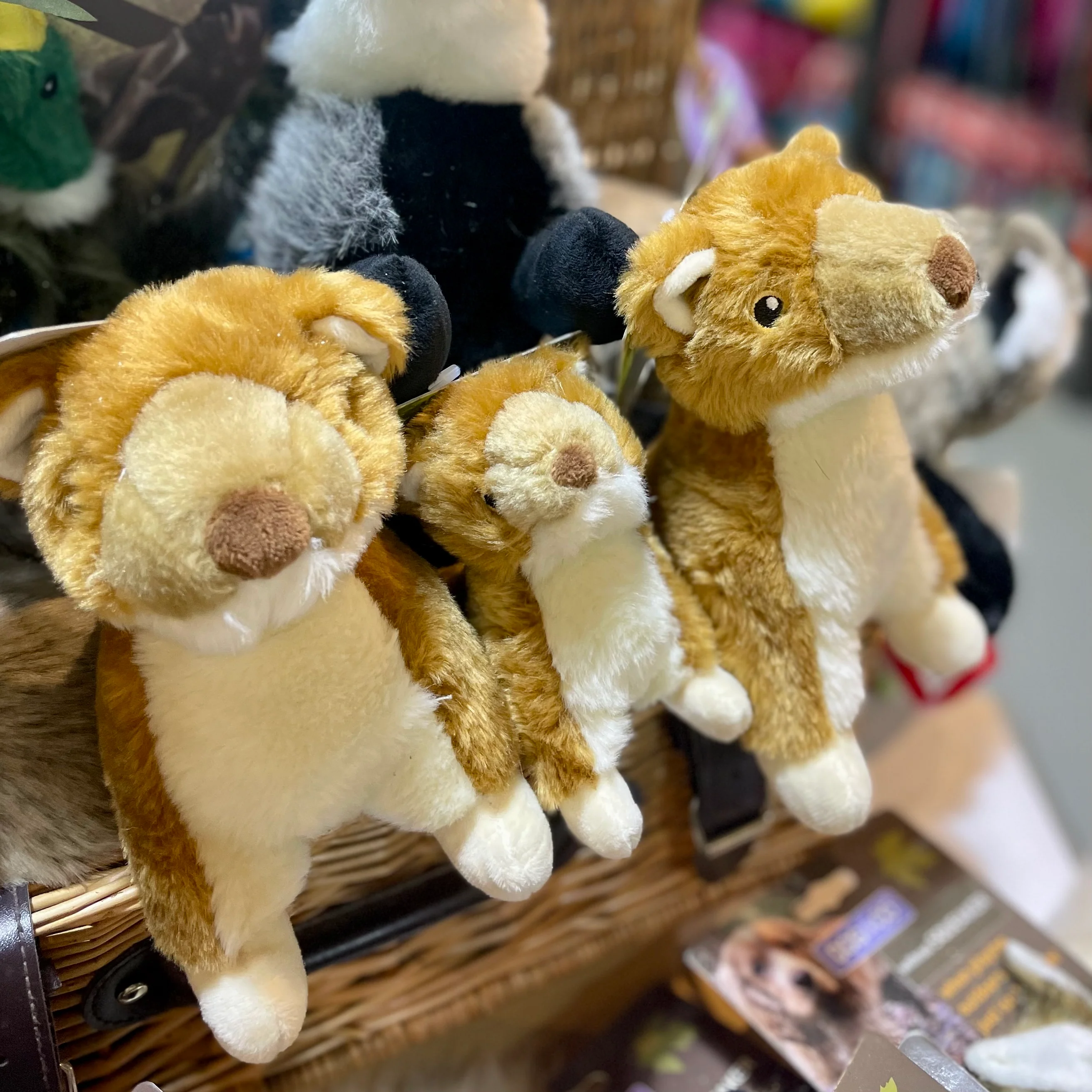 Sally the Stoat Dog Toy - Image 3