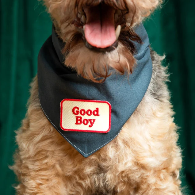 Scout's Honour Iron-on Patches for Dogs - Image 10