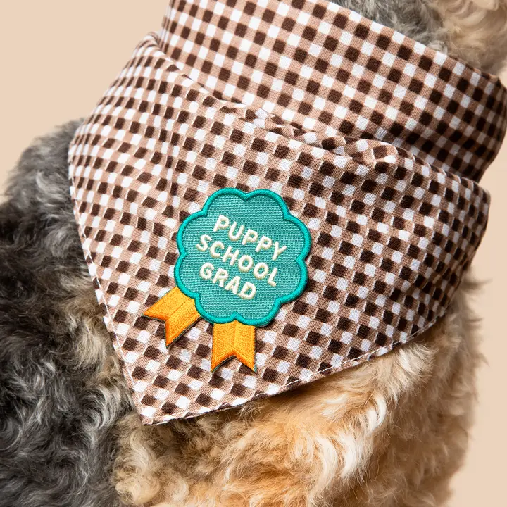 Scout's Honour Iron-on Patches for Dogs - Image 15