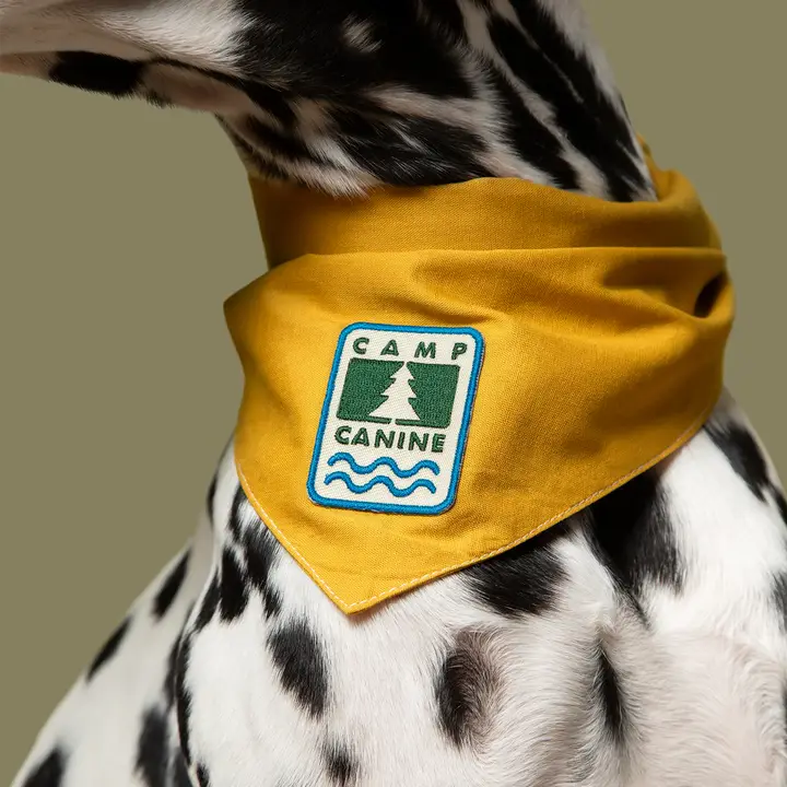 Scout's Honour Iron-on Patches for Dogs - Image 24