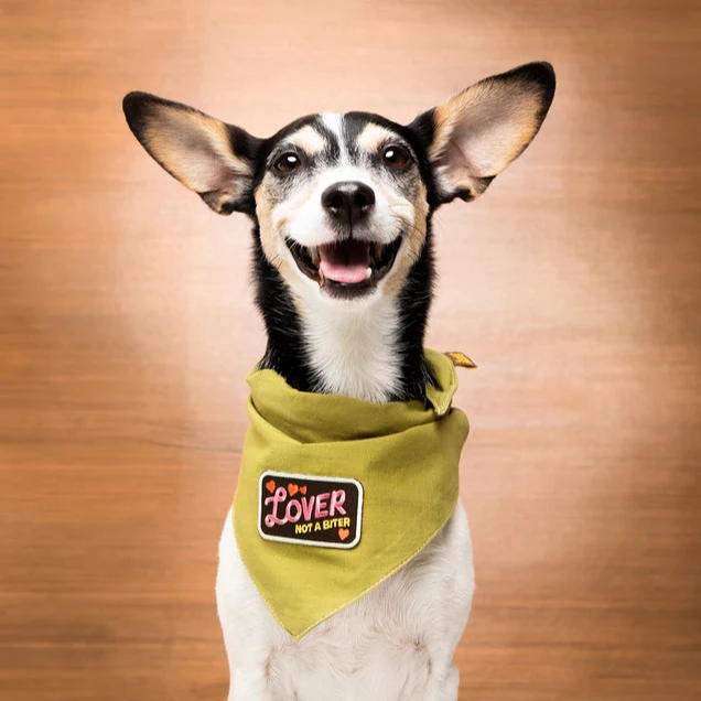 Scout's Honour Iron-on Patches for Dogs - Image 5