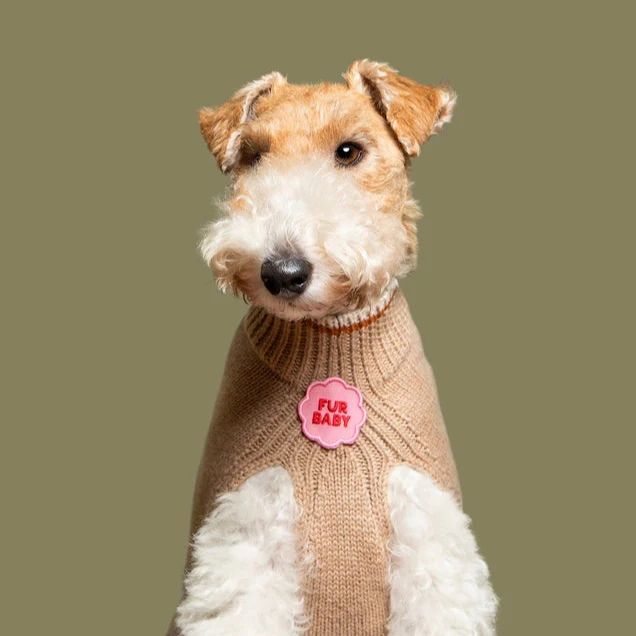 Scout's Honour Iron-on Patches for Dogs - Image 6