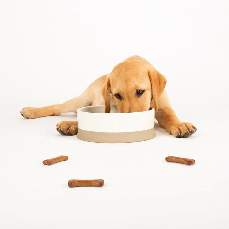 Scruffs Scandi Non Tip Pet Food & Water Bowl - Image 3
