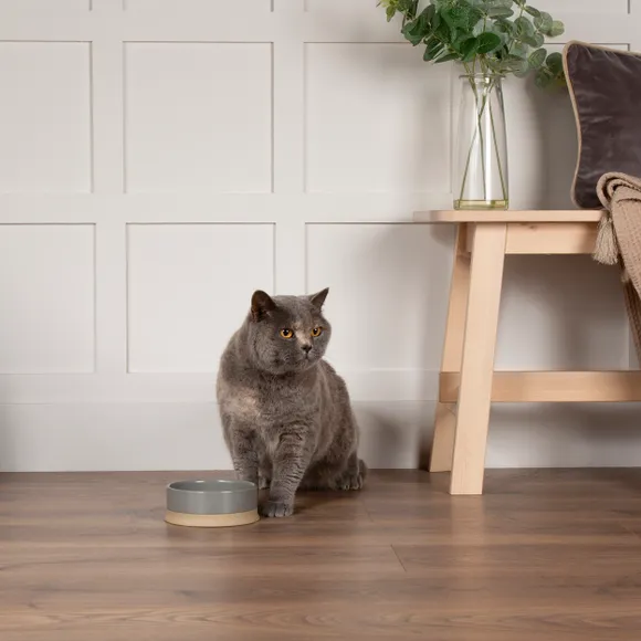 Scruffs Scandi Non Tip Pet Food & Water Bowl - Image 6