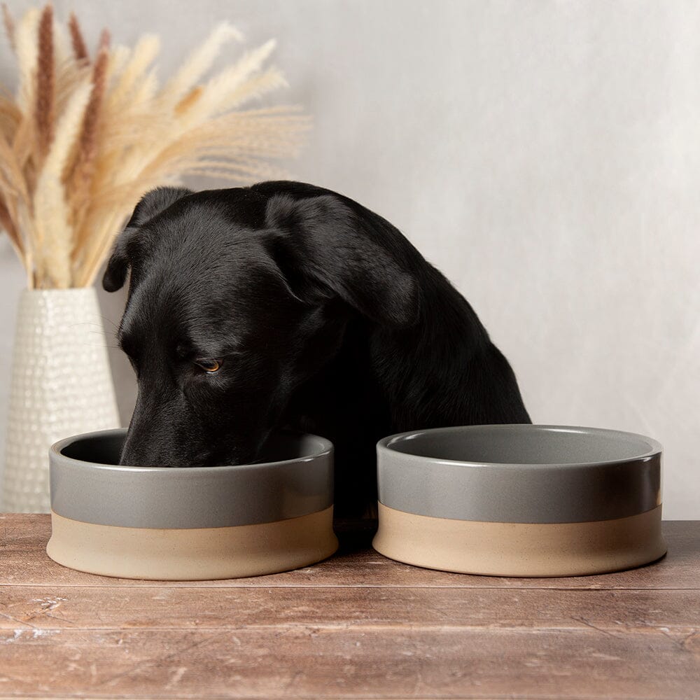 Scruffs Scandi Non Tip Pet Food & Water Bowl - Image 8