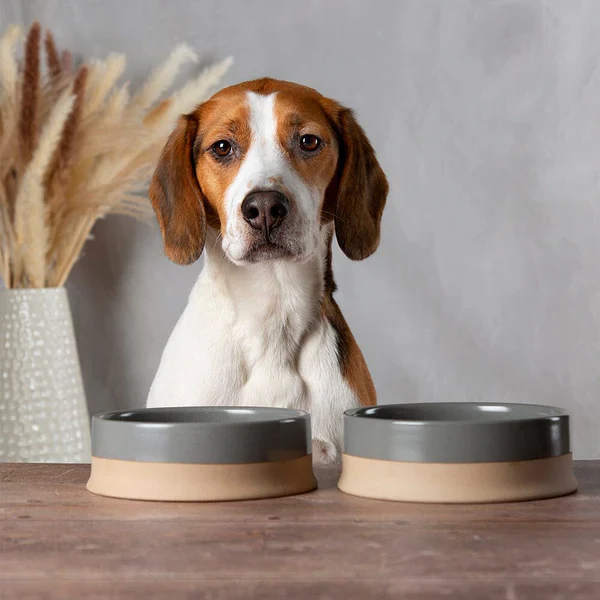 Scruffs Scandi Non Tip Pet Food & Water Bowl - Image 9