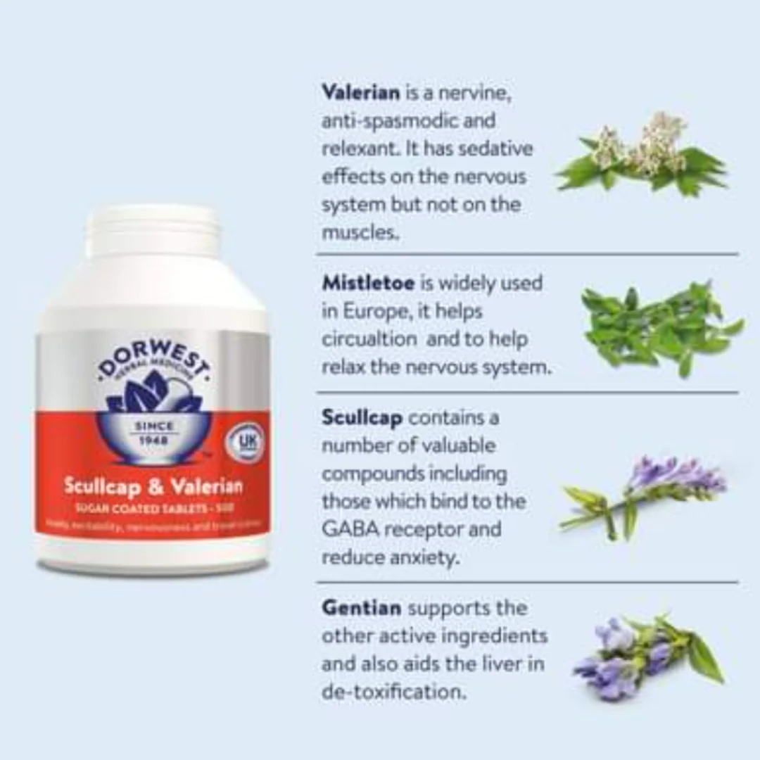 Scullcap & Valerian Calming Tablets For Dogs And Cats - Image 4