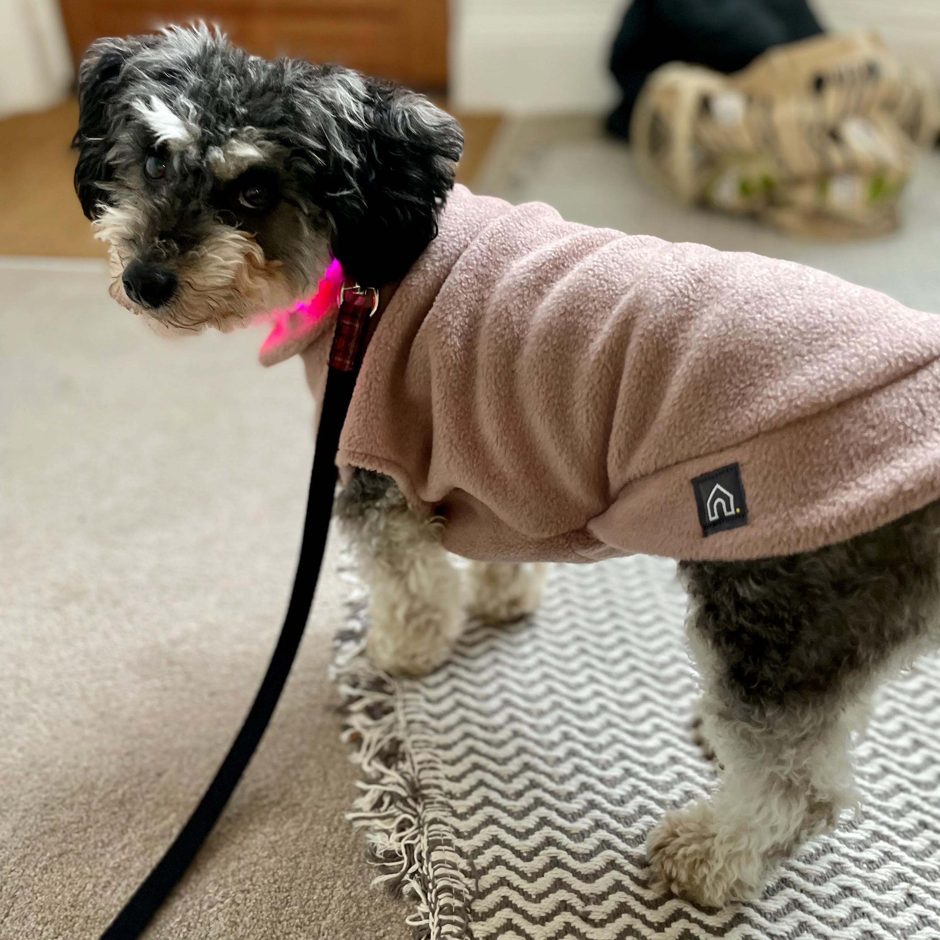 Small Breed Dog Fleece Jumper - Image 17