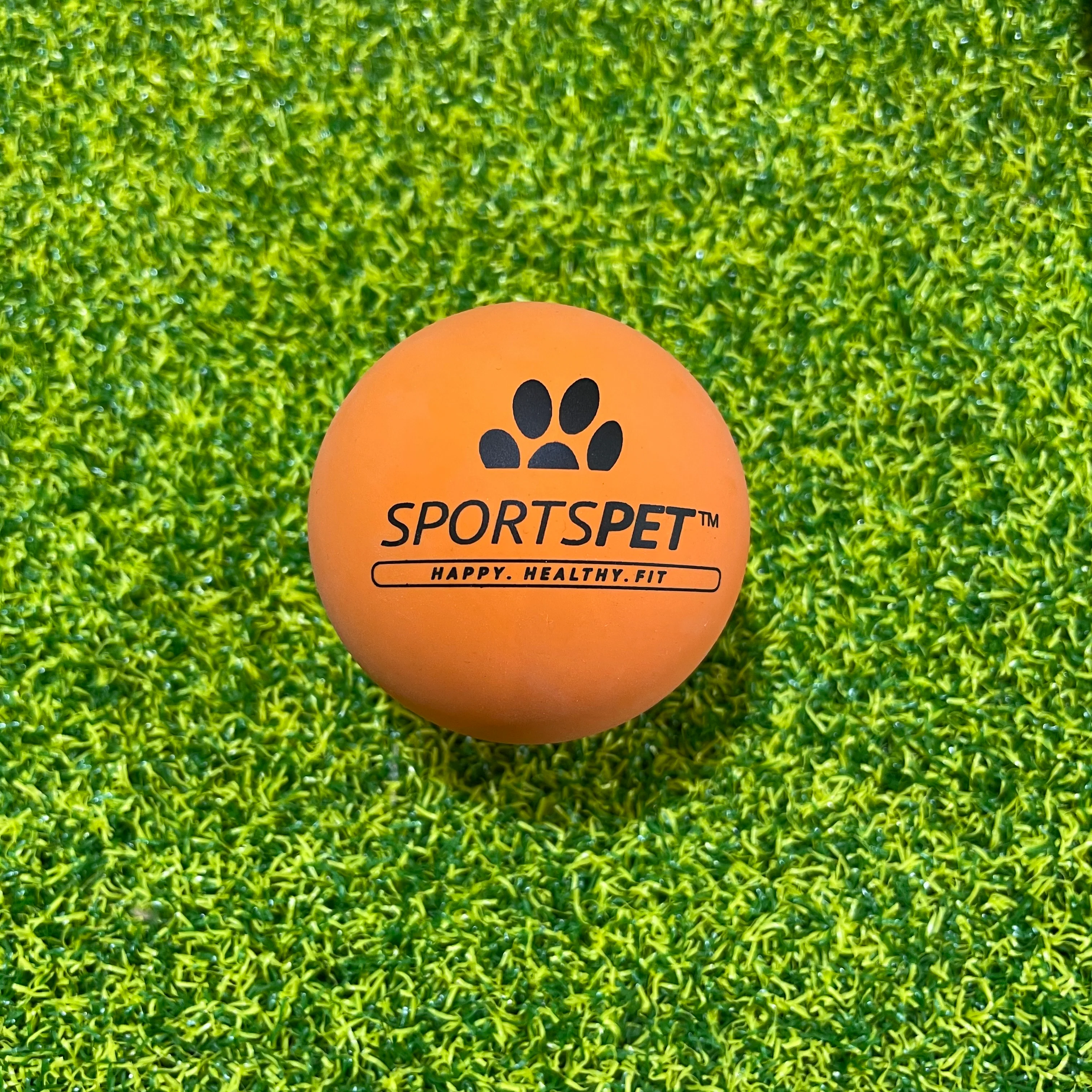 SportsPet High Bounce Rubber Ball - Image 3