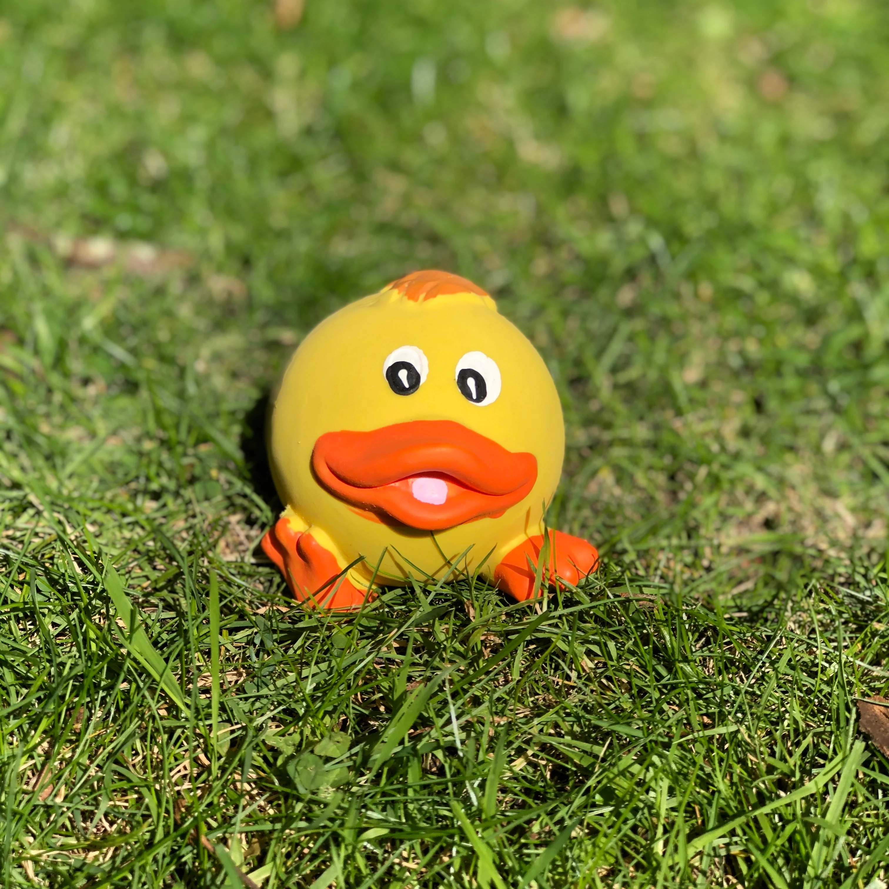 Squeaky Latex Animal Toy Dog Balls - Image 3