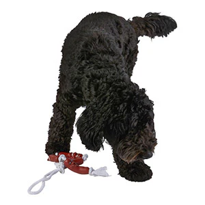 String of Sausages on Rope Dog Toy - Image 7
