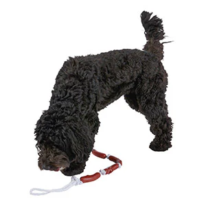 String of Sausages on Rope Dog Toy - Image 8
