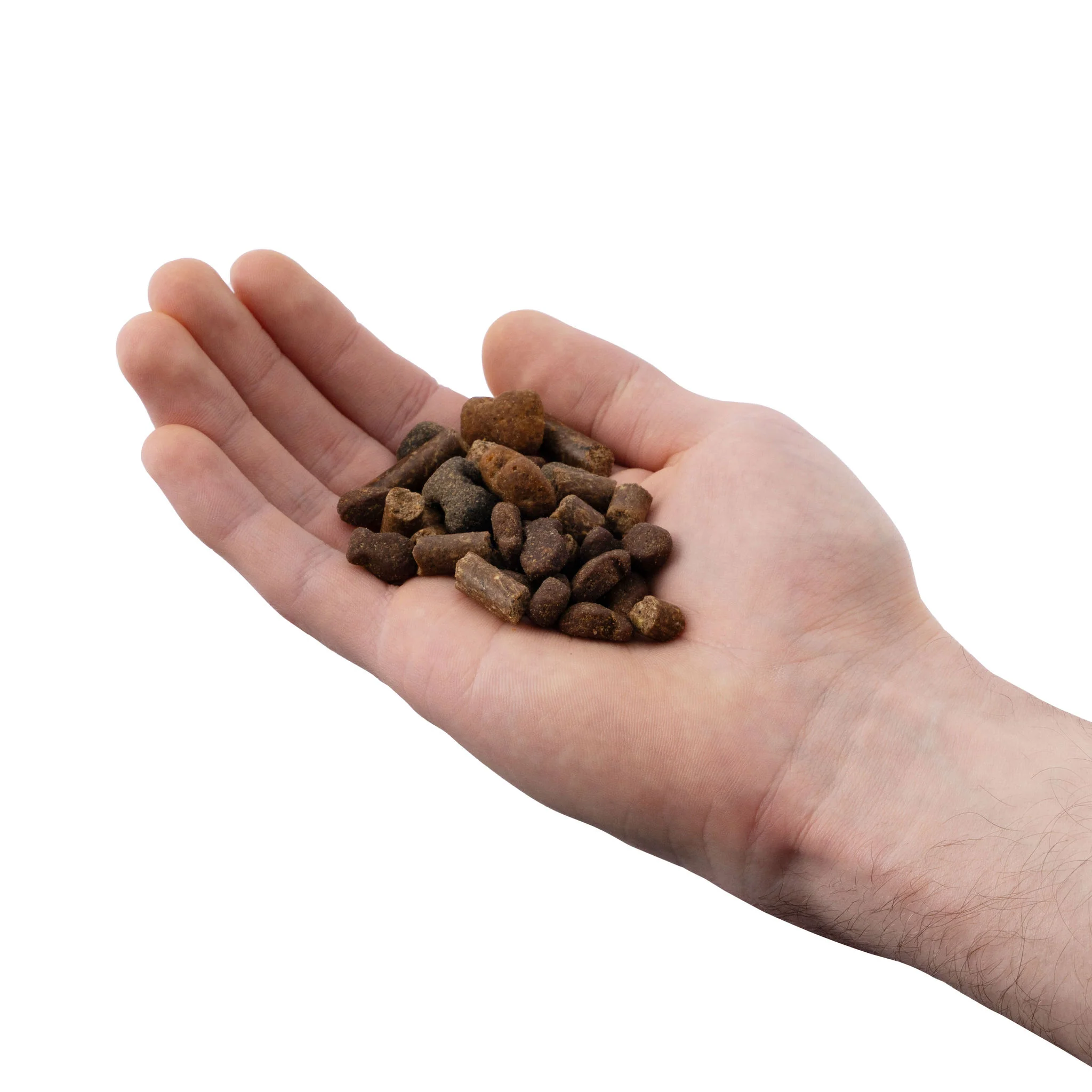 The Dog House Random Rewards - Image 4