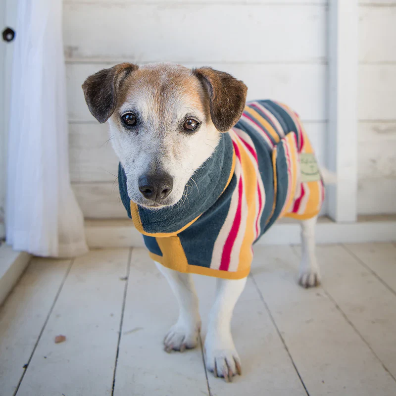 Ruff and Tumble Dog Drying Coat - Beach Stripe - Image 8