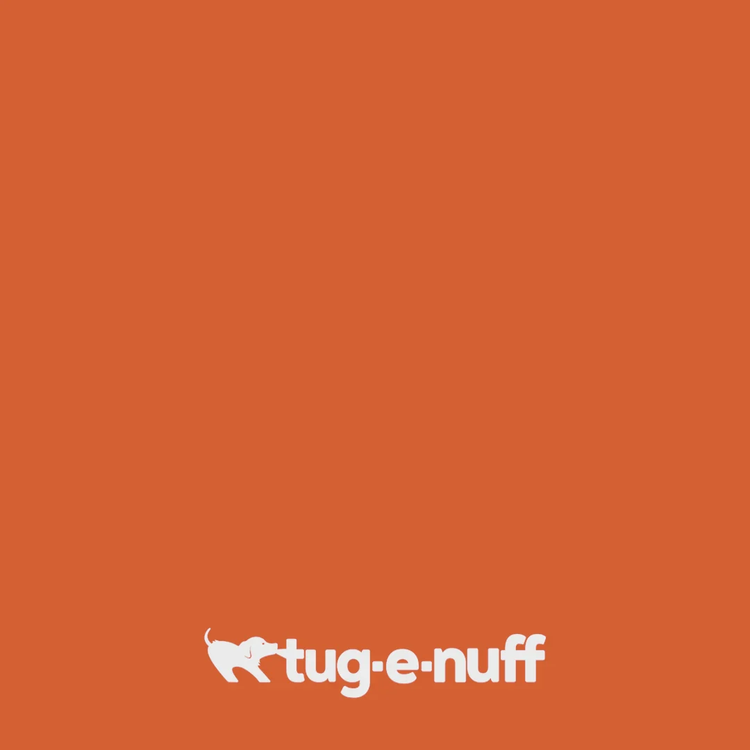 Bob the 3-in-1 Dummy Training Toy by Tug-e-Nuff - Image 6