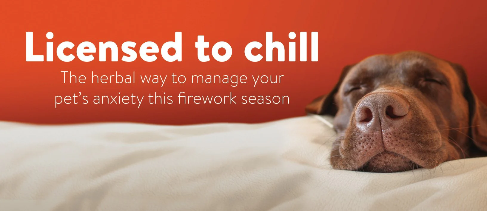 Valerian Compound Calming Remedy for Dogs & Cats - Image 3