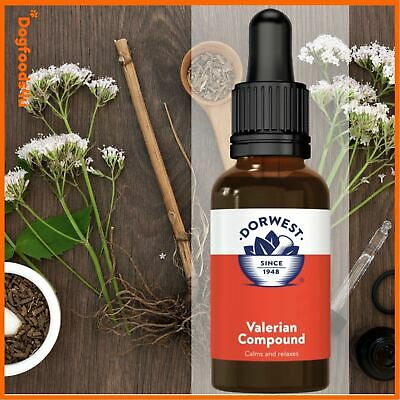 Valerian Compound Calming Remedy for Dogs & Cats - Image 5