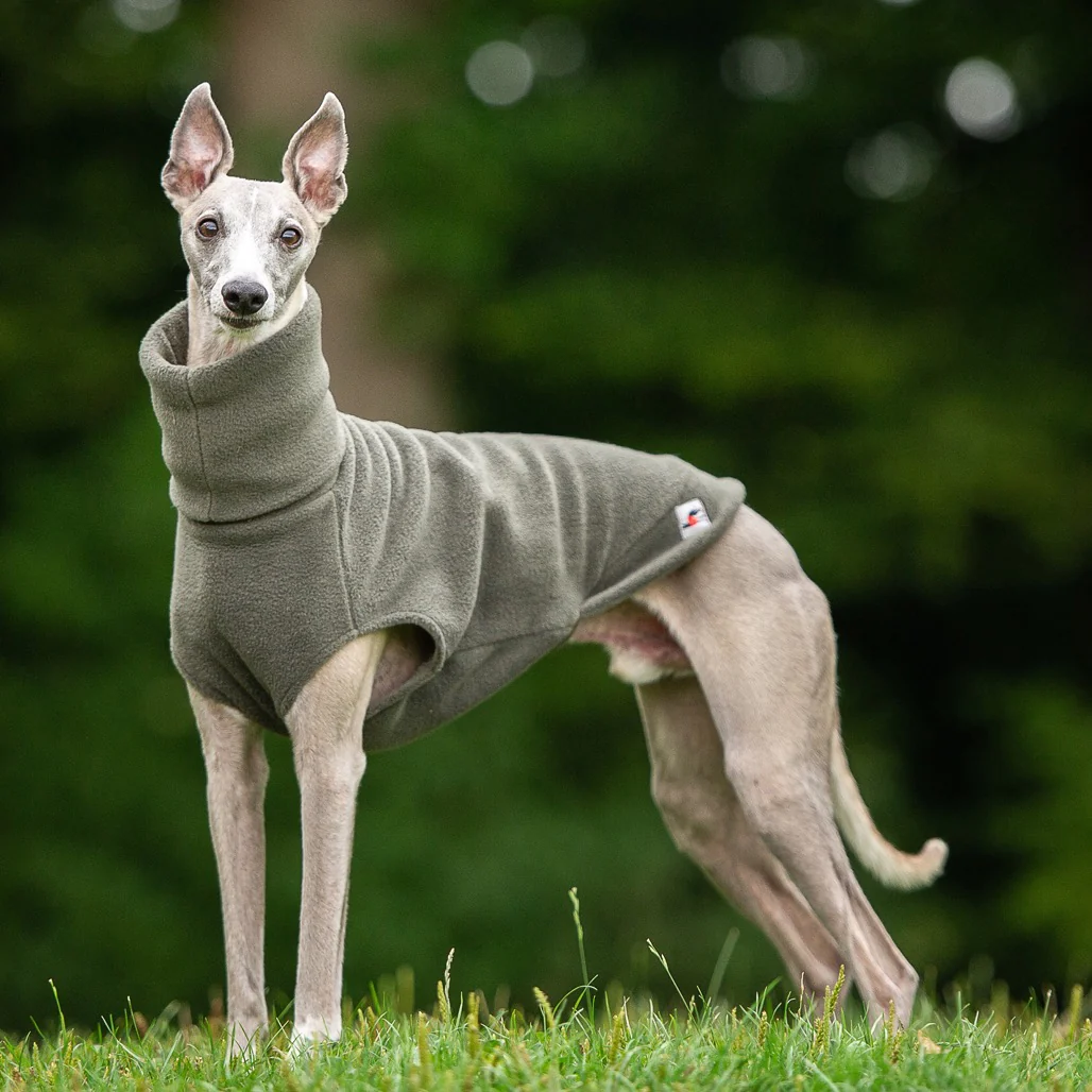 Whippet Fleece Jumper - Image 3