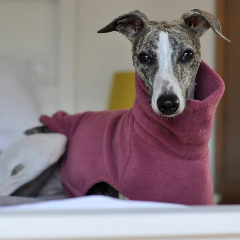 Whippet Fleece Jumper - Image 4
