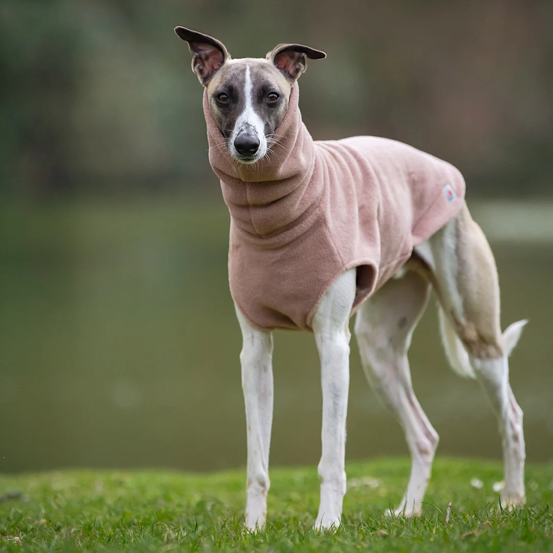 Whippet Fleece Jumper - Image 6