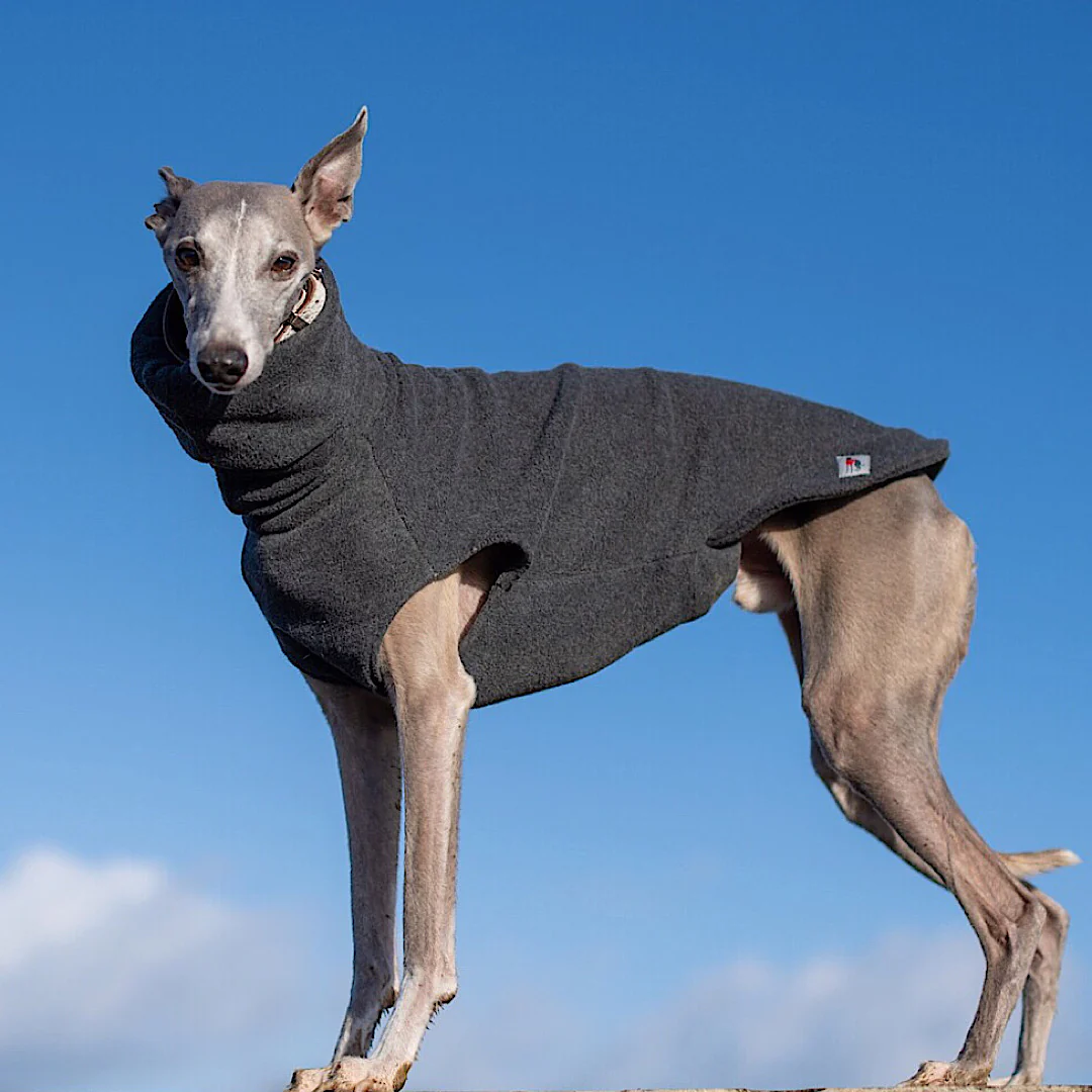 Whippet Fleece Jumper - Image 7