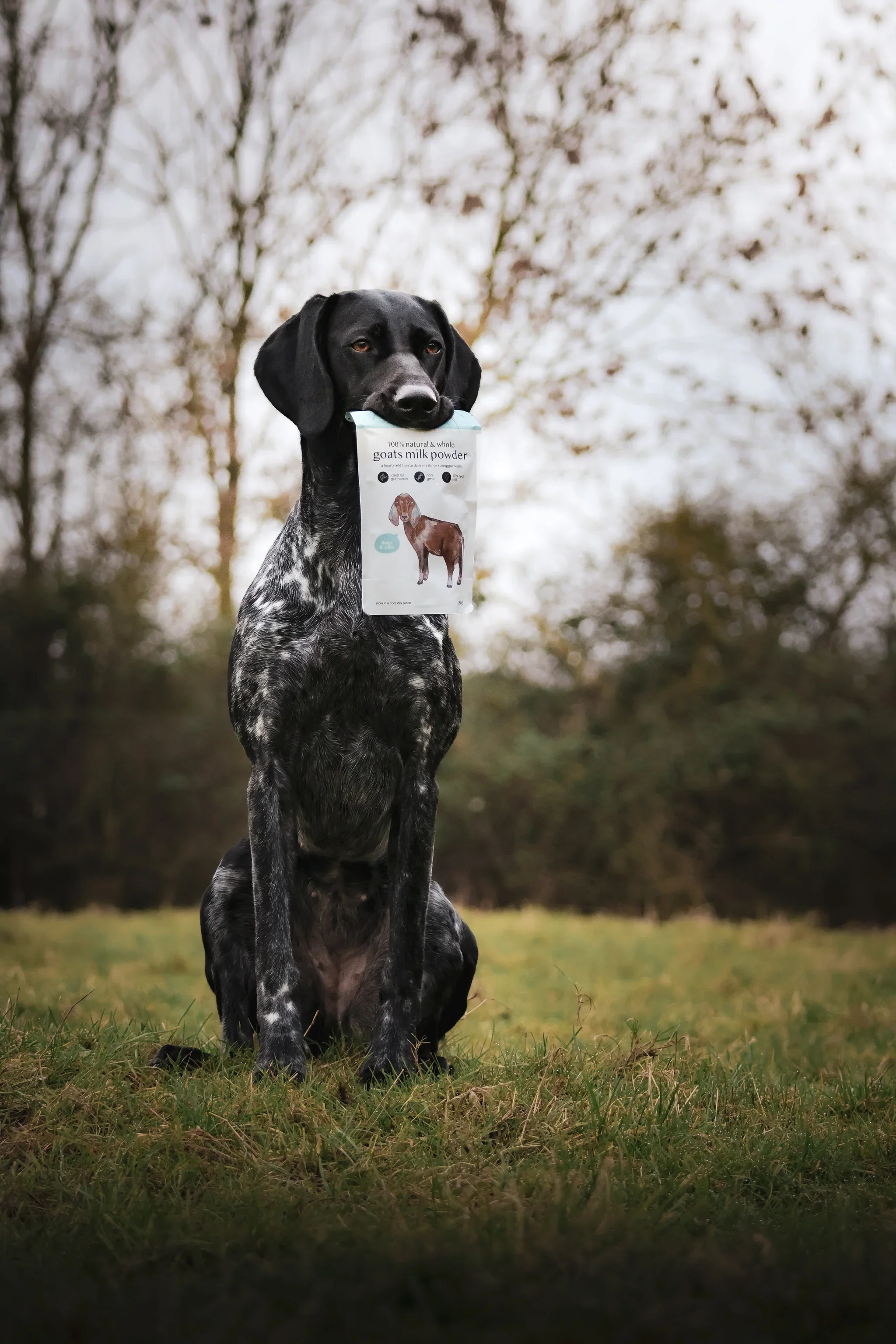 Fettle Whole Goat's Milk Powder for Dogs - Image 3