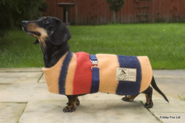 Witney Dachshund Rug Coat - Image 3