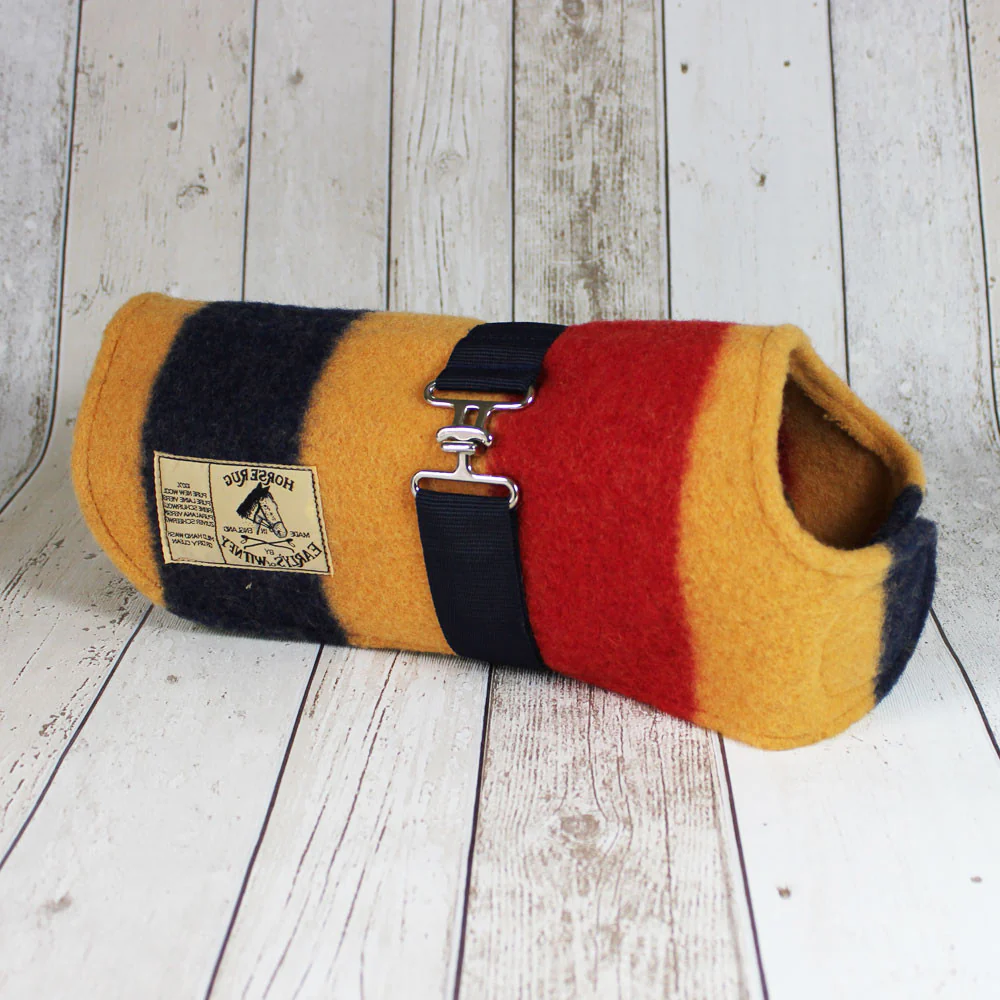 Witney Dachshund Rug Coat - Image 4