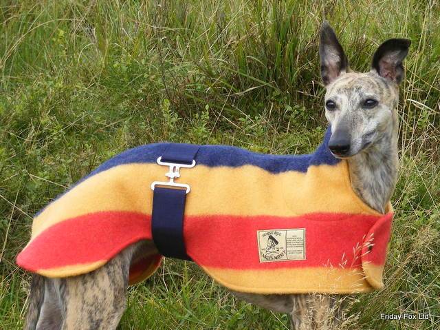 Witney Whippet Rug Coat - Image 3