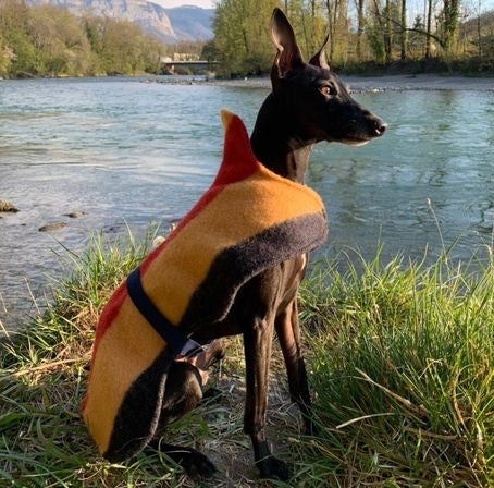 Witney Whippet Rug Coat - Image 5