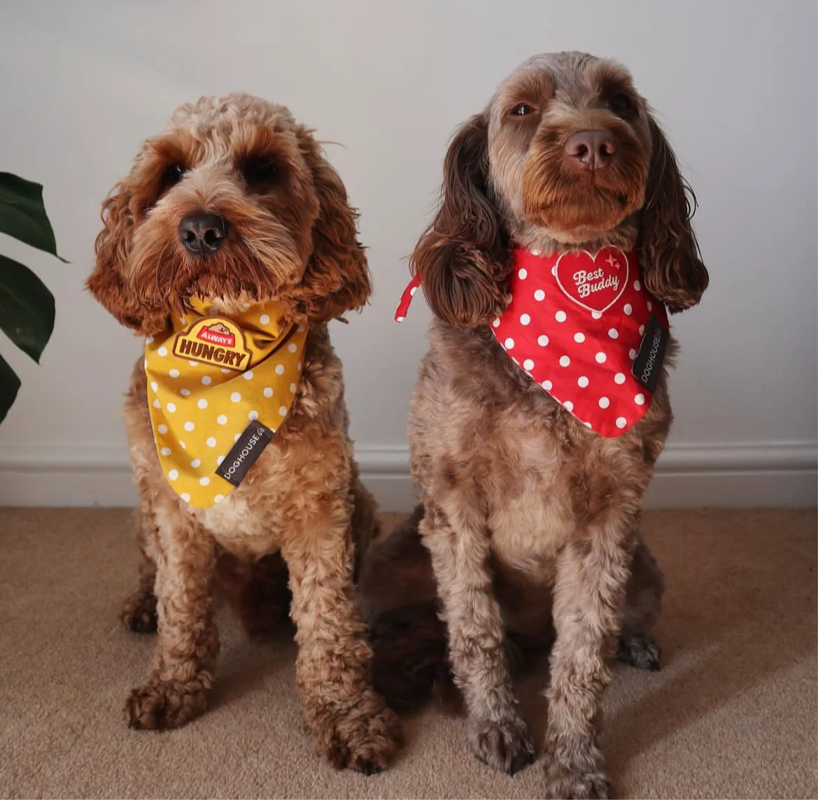 Yellow Polka Dot Blue Dog Bandana - Image 5