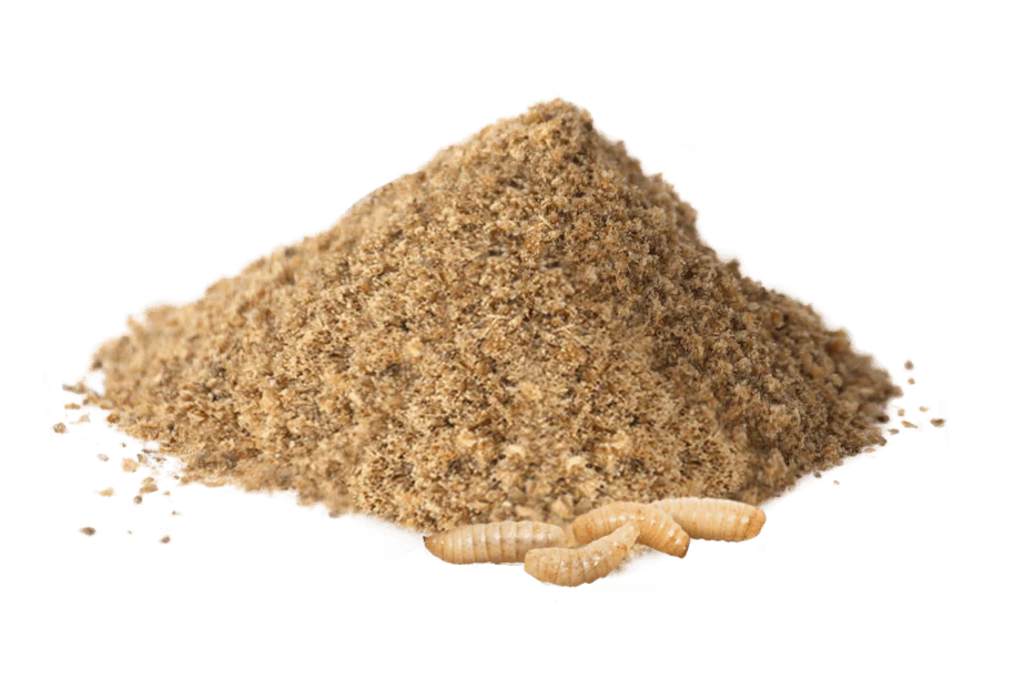 YORA All Breed Insect Protein Dog Food - Image 3