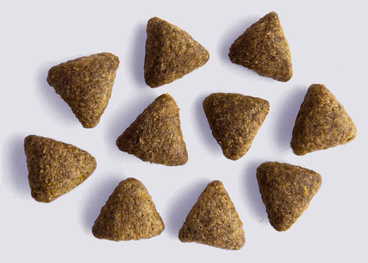 YORA All Breed Insect Protein Dog Food - Image 4