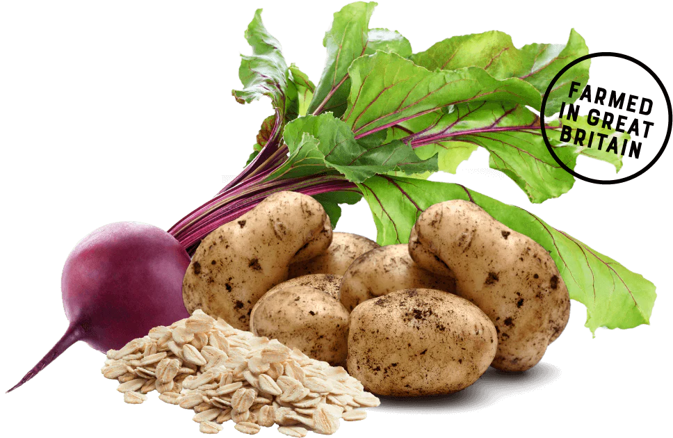 YORA All Breed Insect Protein Dog Food - Image 5